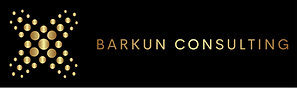 Barkun Consulting Logo